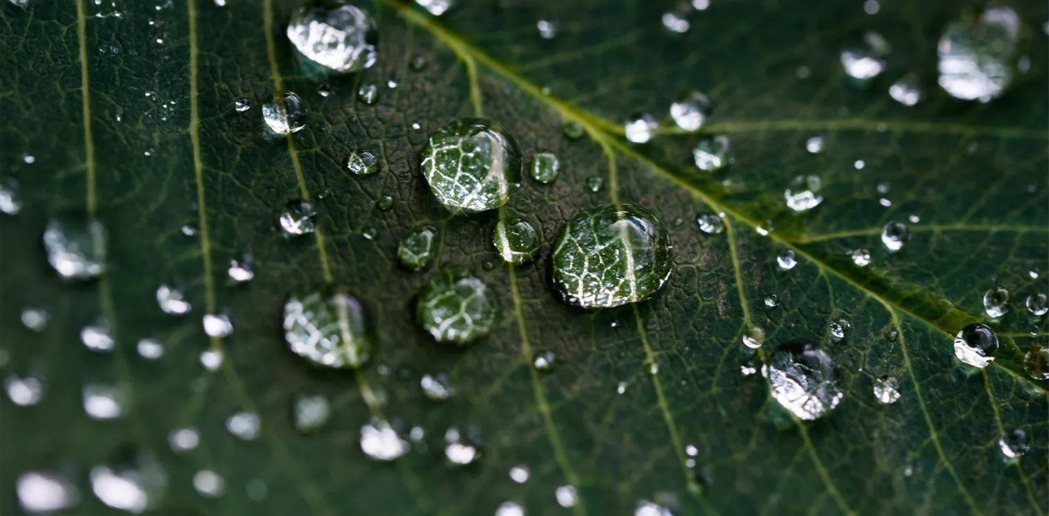 Industrial sustainability infrastructure associated with rare earth processing